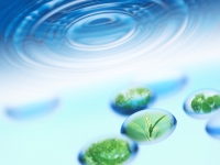 節水型ランドリー